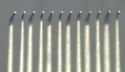 01a683d63b4149338a95c56089302d4d_1601946153_8585.png